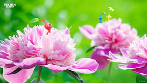 Pikmin wallpaper