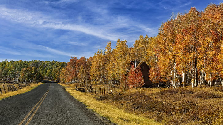 Sky,  , Fall, Cloud, Forest, House, Road wallpaper