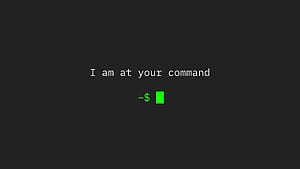 I Am At Your Command, ubuntu, linux, terminal, hacker, computer wallpaper