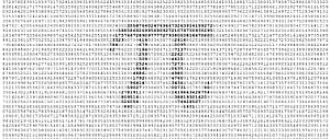 Pi, Math wallpaper