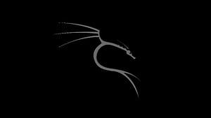 Kali Linux Dragon , kali-linux, linux, computer, dark, black, oled wallpaper