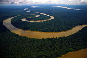 Amazon River, Amazon Rain Forest wallpaper