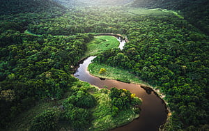 Amazon, Rainforests wallpaper
