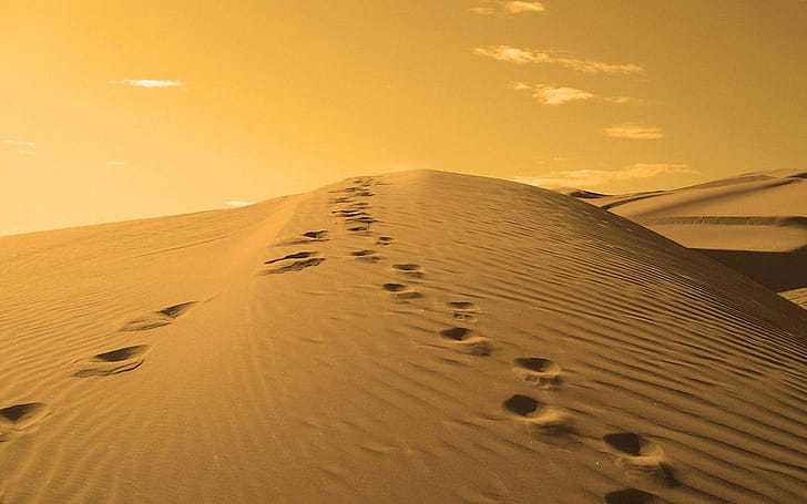 Footprints wallpaper