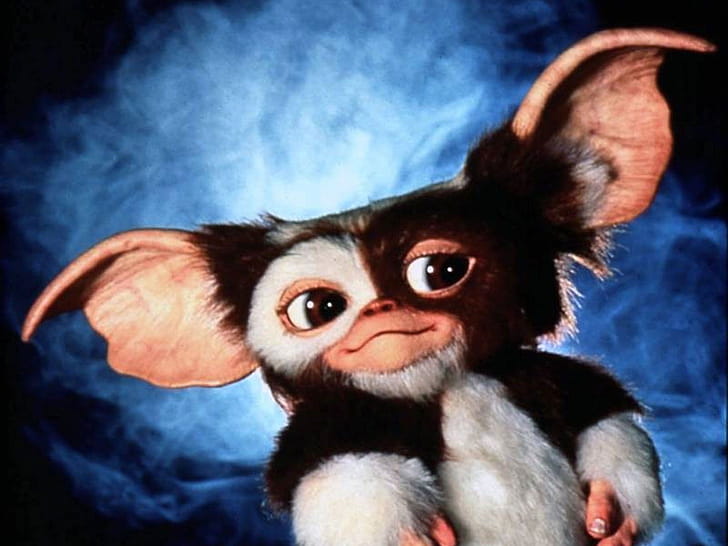 Gizmo, , Backgrounds wallpaper