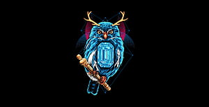 Owl Dark Black , owl, dark, black, artist, artwork, digital-art wallpaper
