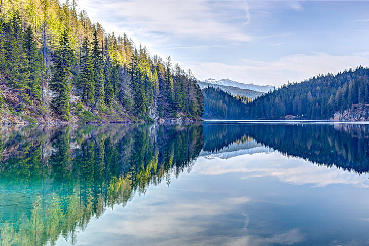 Pine Trees Reflection , reflection, trees, nature wallpaper