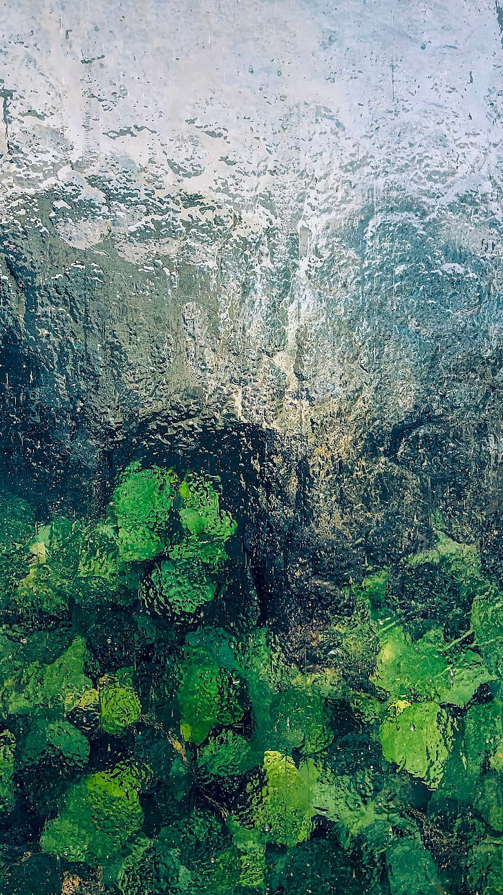 graphy, water phone wallpaper