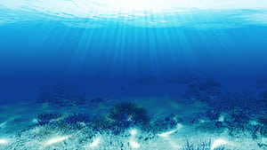 Endless Ocean wallpaper