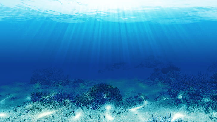 Endless Ocean wallpaper