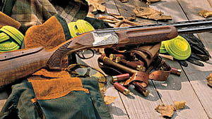 Shotguns, wallpaper