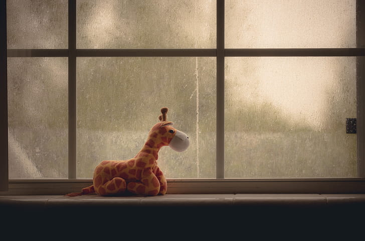 Window Ziraffe , graphy wallpaper