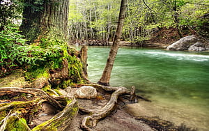 Congo river ,  , Congo river backgrounds, River wallpaper