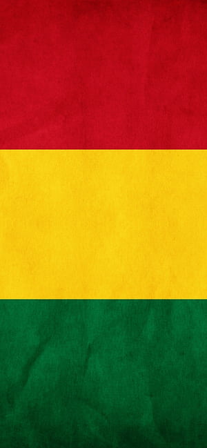 Bolivia flag , iPhone 12 Pro phone wallpaper