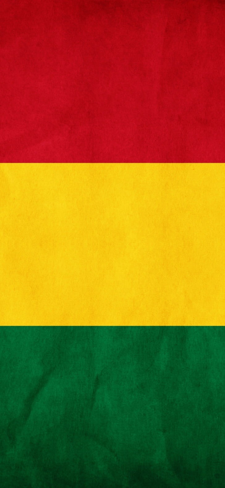 Bolivia flag , iPhone 12 Pro phone wallpaper