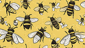 Bee, bee wallpaper