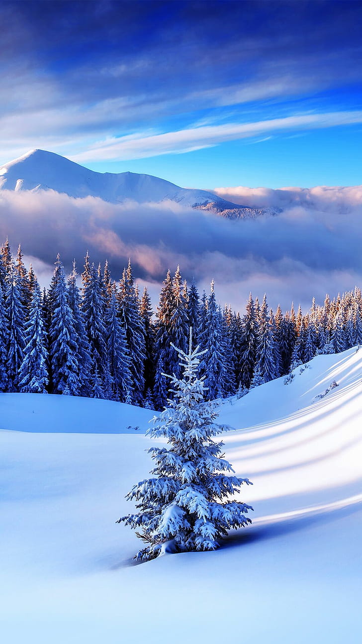 Winter iPhone , Winter phone wallpaper