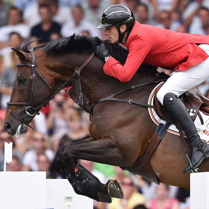 Eventing, Equitation phone wallpaper