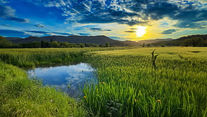 landscape wallpaper