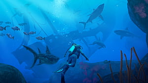 Endless Ocean wallpaper