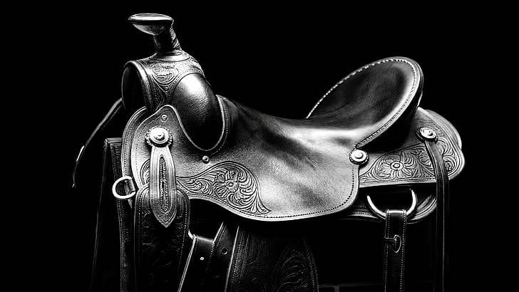 Saddle wallpaper
