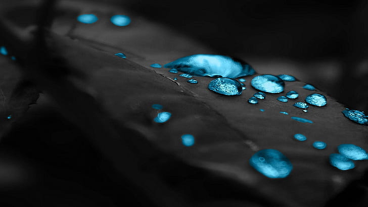 Leaf, Matte Black wallpaper