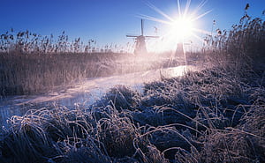 Windmill , windmill, graphy wallpaper