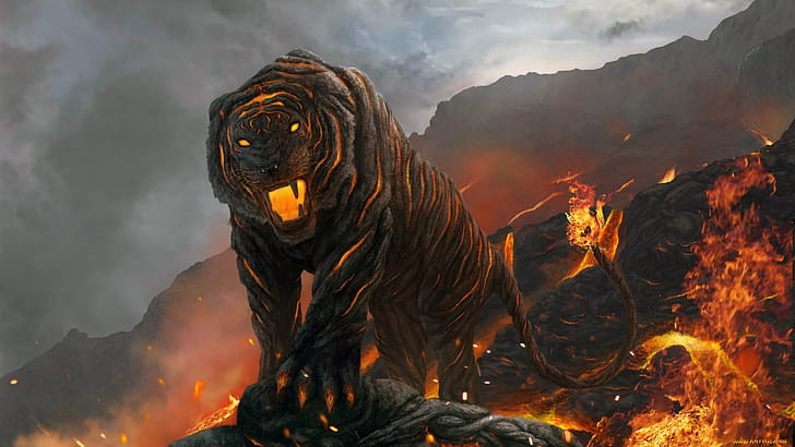 Tiger Fire, tiger, fire wallpaper