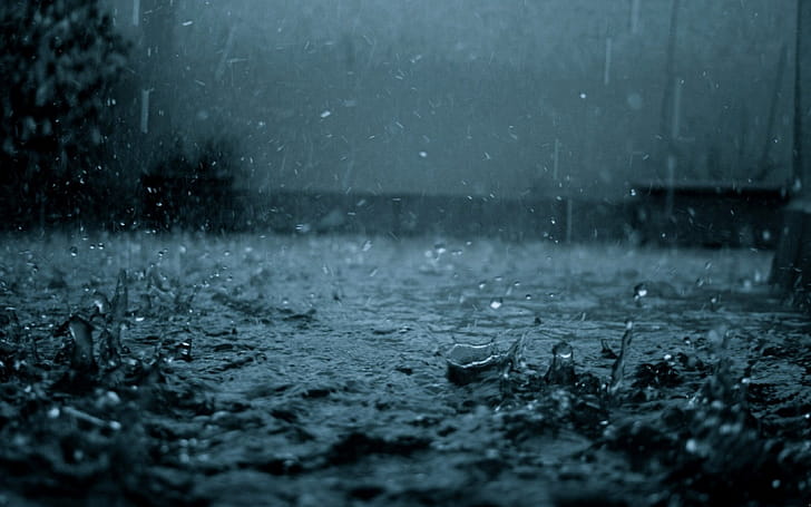 Rain wallpaper