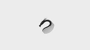 Kali Linux White, Linux, technology, Kali Linux wallpaper
