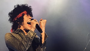 LP, Paris show, Coverage wallpaper
