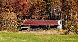 Fall Barn, fall, graphy, barn wallpaper