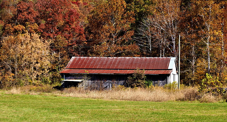 Fall Barn, fall, graphy, barn wallpaper