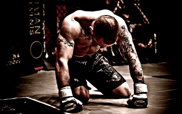 Boxing , wallpaper