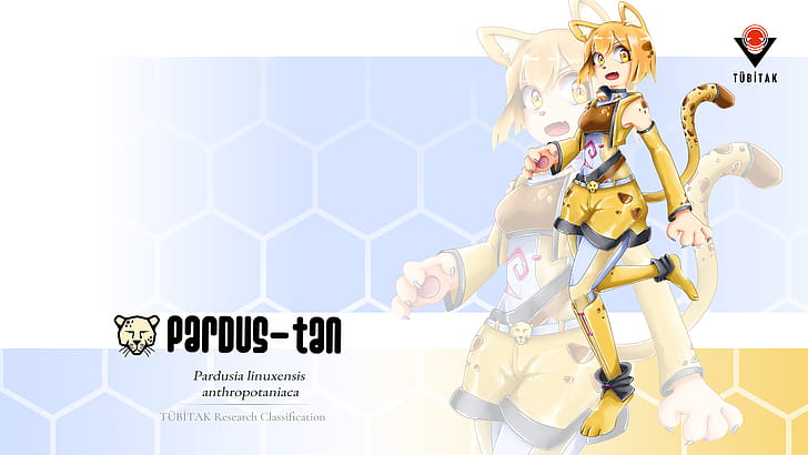 Pardus-tan, Os-tan, Linux, Operating System wallpaper