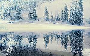 Tree, Winter, Artistic, Vector, Forest wallpaper