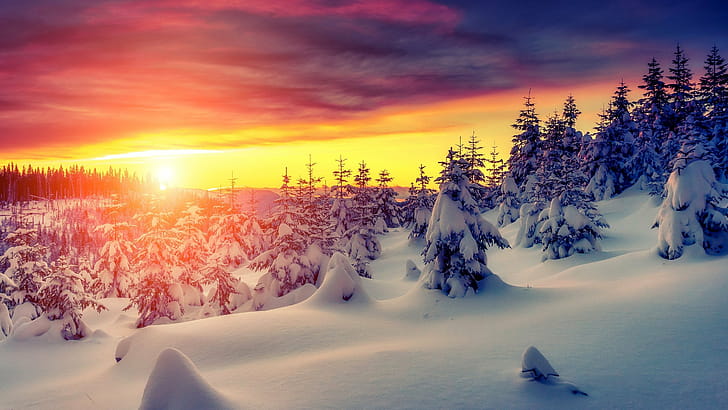 Sunset, Winter wallpaper