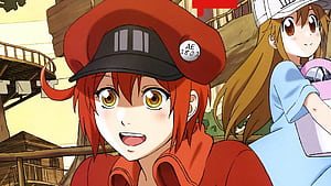Cells at Work! Code Black, Top , Cell at Work, Backgrounds wallpaper