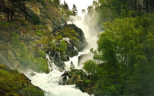 Stream, Amazon Rain Forest wallpaper