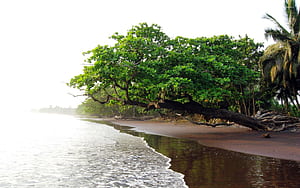 Limbe, Beach , wallpaper