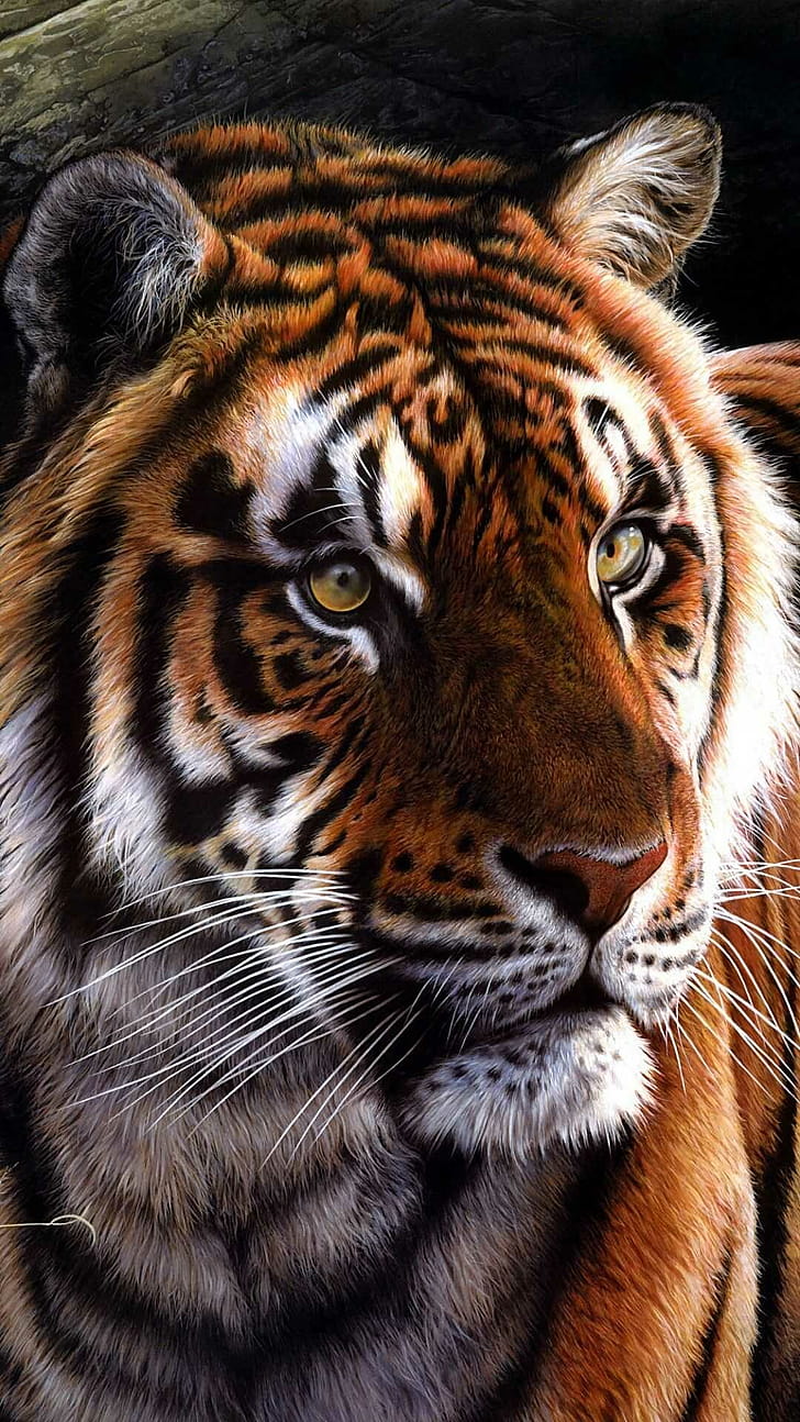 Tiger , Idlewp phone wallpaper
