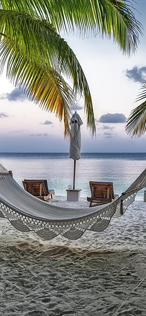 Hammock, Beaches phone wallpaper