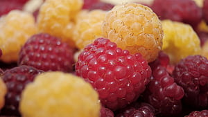 Raspberry, raspberry, fruits wallpaper