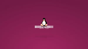 Linux Penguin, linux, penguin, computer, ubuntu wallpaper