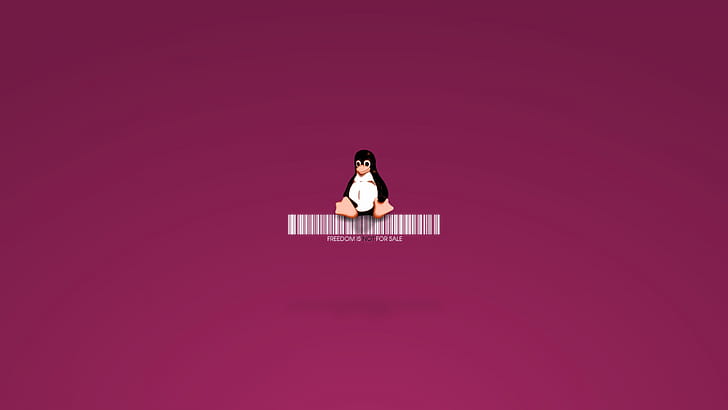 Linux Penguin, linux, penguin, computer, ubuntu wallpaper
