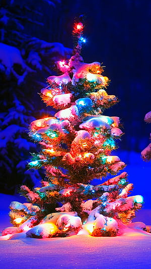 Christmas tree, Trees phone wallpaper