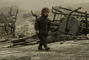 Tyrion Game Of Thrones Season 7, tyrion-lannister, game-of-thrones-season-7, game-of-thrones, tv-shows wallpaper