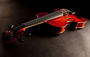 Viola music, Violin , Stringed elegance, Melodic strings wallpaper