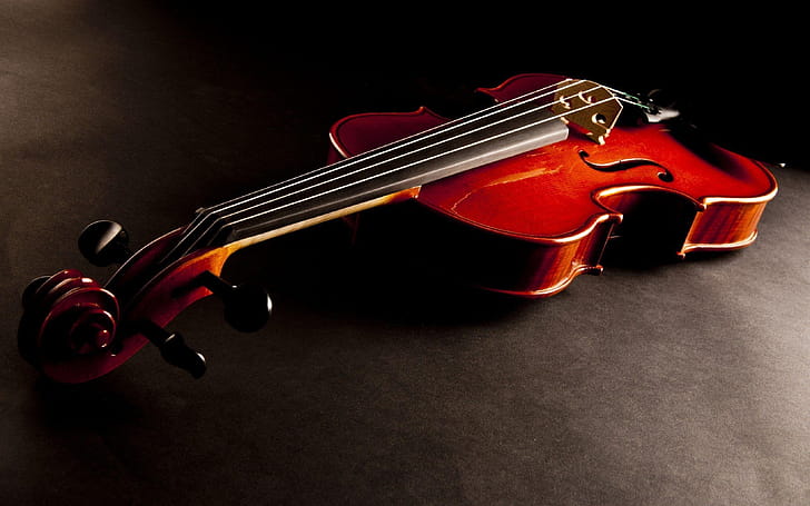 Viola music, Violin , Stringed elegance, Melodic strings wallpaper