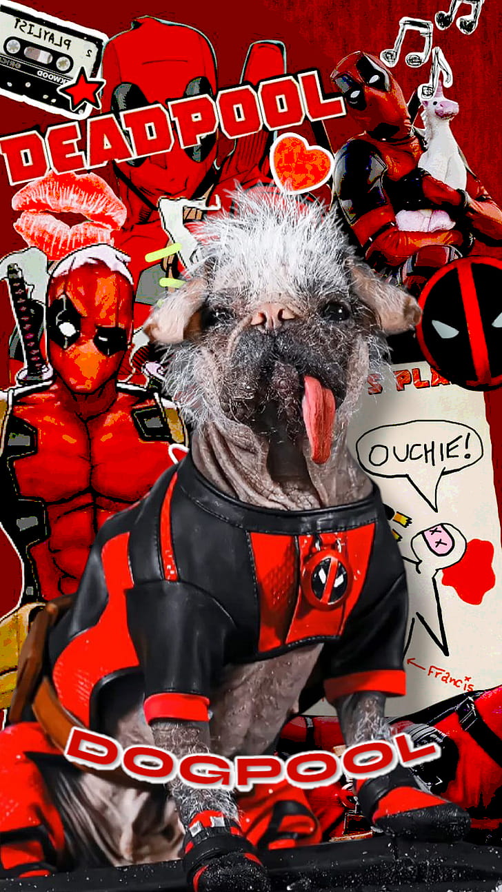 Dogpool, Deadpool & Wolverine, Deadpool phone wallpaper